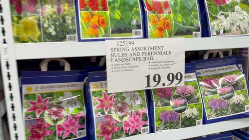 Spring Assortment Bulbs and Perennials Landscape Bag