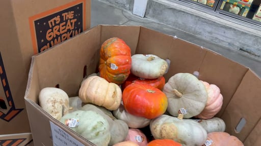 Heirloom Pumpkins, Each