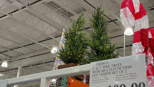 Boxed Pine Trees with Twinkle Lights, Set of 2 (4' & 3')