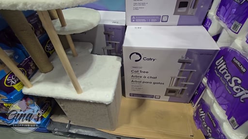 Catry Trinity 66" 5-Level Cat Tree
