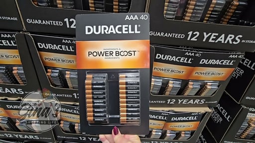 Duracell Power Boost Alkaline AA Batteries 40-Pack