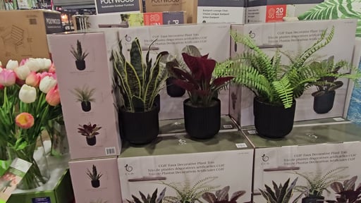 C.G. Hunter Faux Decorative Plant Trio