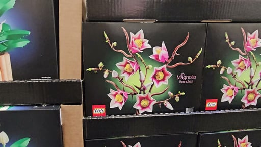 LEGO Botanicals Peace Lily & Magnolia Branches Bundle