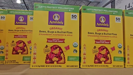 Annie's Organic Bees, Bugs & Butterflies Fruit Snacks