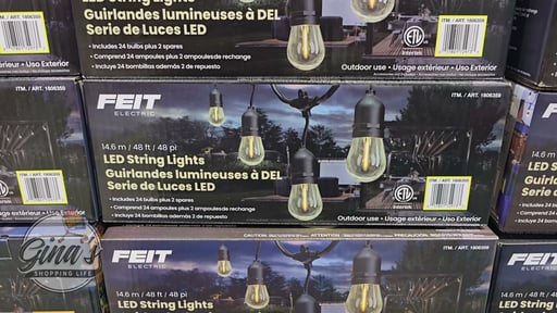 Feit Electric 48' LED String Lights