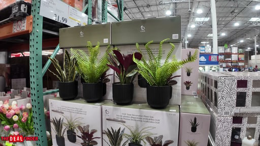 C.G. Hunter Faux Decorative Plant Trio