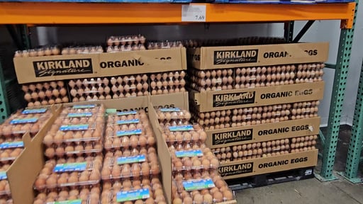 Kirkland Signature Organic Large Brown Eggs