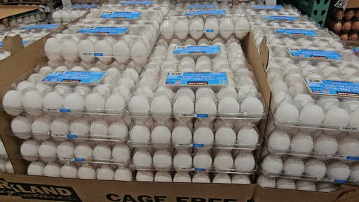 Kirkland Signature AA Large Eggs (24 ct)