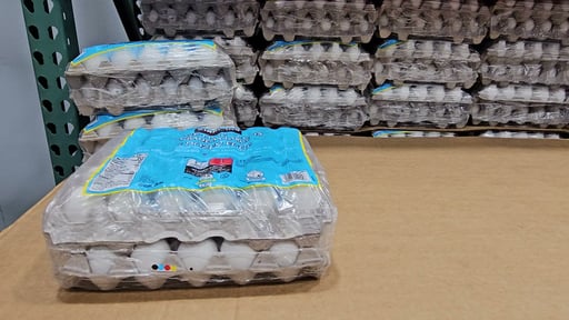 Kirkland Signature Cage-Free Large Eggs (5 Dozen)