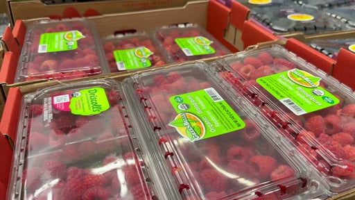 Organic Blueberries 18 oz