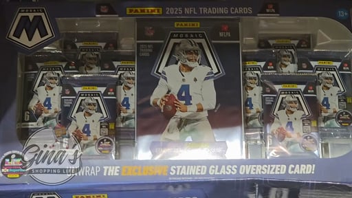 Panini Mosaic Football Bundle