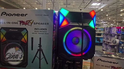 Pioneer PSX615 Party Speaker 700 Watt All-in-One