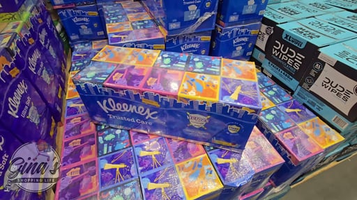 Kleenex Trusted Care Flat Pack 2-Ply 10/230CT