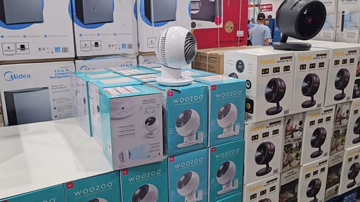 Woozoo 5-Speed Globe Fan