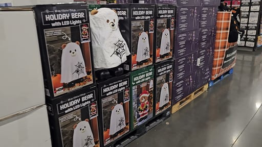 23.6" Holiday Bear with Ghost Costume and LED Lights