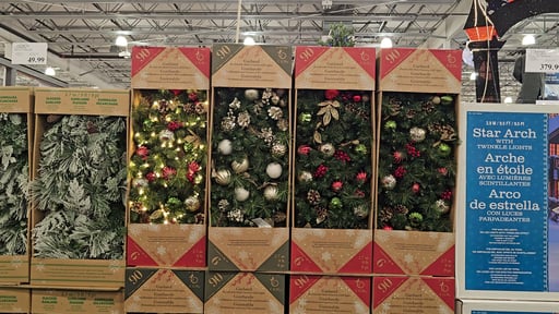 9' Pre-Lit Radiant Micro LED with Twinkle Artificial Flocked Greenery Garland