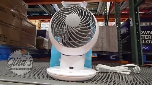 Woozoo 5-Speed Globe Fan