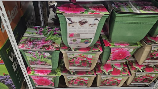 Pre-Planted Flower Bulbs in Planter 12L
