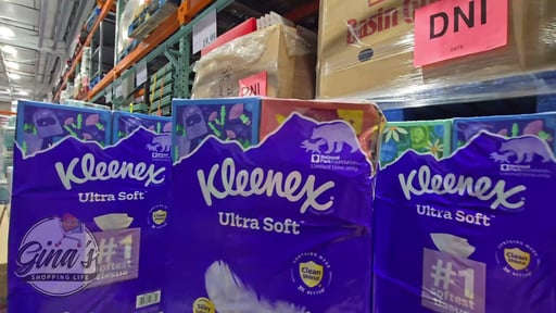 Kleenex Facial Tissue Upright 12/85 Count 3-Ply