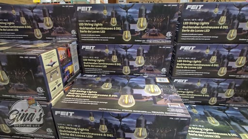 Feit Electric 48' LED String Lights