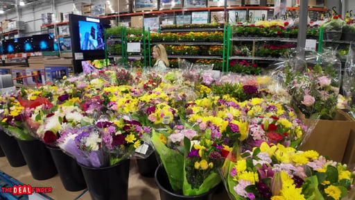 Premium Floral Bouquet