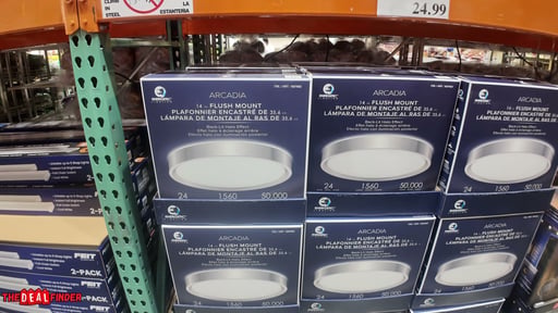 Energetic Lighting 14-Inch Arcadia LED Flush Mount Ceiling Light