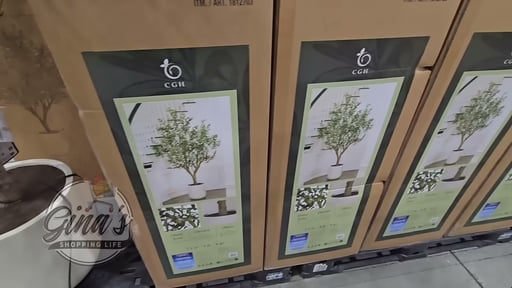 C.G. Hunter Faux 8' Olive Tree