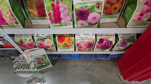 Spring Bulb Assortment