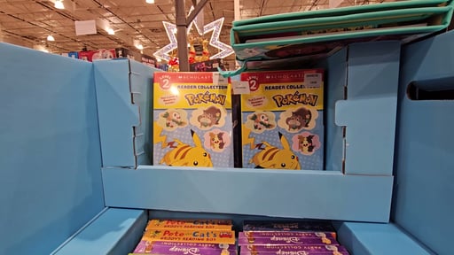 Picture Book 26-Count Pallet Set for Ages 8 & Under - Various Titles