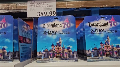Disneyland 2-Day Park Hopper Ticket with Lightning Lane Multi Pass