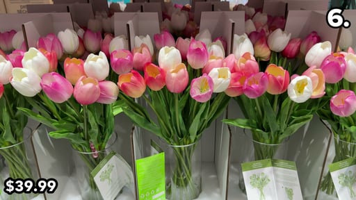 Tulip Arrangement
