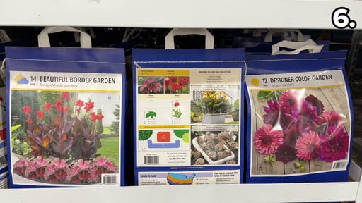 Spring Assortment Bulbs and Perennials Landscape Bag