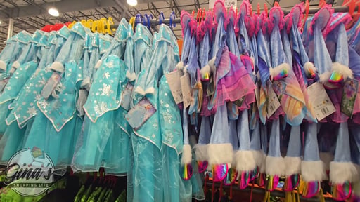 Teetot Princess Factory Costume Assortment