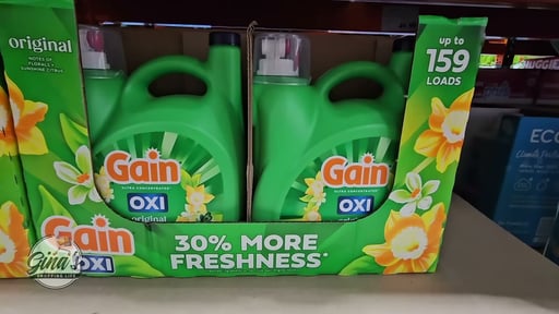 Gain Liquid High Efficiency 170 fl oz 159 Loads 5.3 Quarts