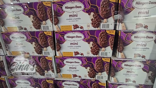 Häagen-Dazs Mini Cookie Crumble Ice Cream Bars 20 Count Box