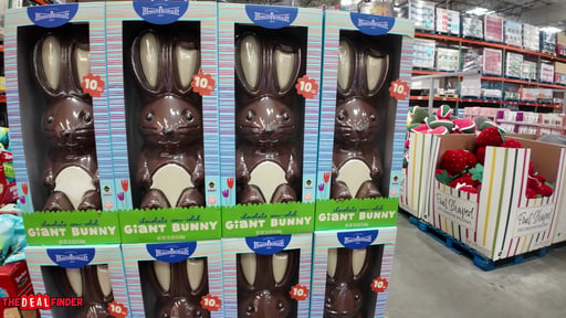 Maud Borup Giant Chocolate Bunny 160 Ounce Container