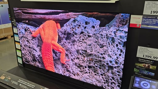 Samsung 65" Class S90CD 4K OLED TV