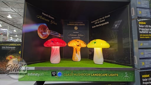 Infinity X1 Solar Glass Mushroom Lights 3-Pack