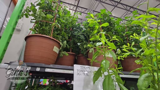 Tomato Cage 2G/7.5L