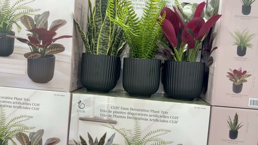 C.G. Hunter Faux Decorative Plant Trio
