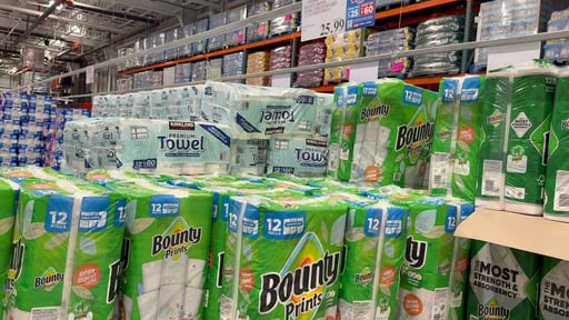 Bounty Prints Paper Towels, 669 Sq Ft, 12 Rolls / 124 Sheets