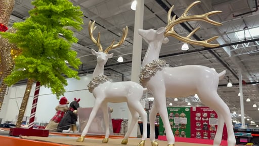 Deer Greeters Set of 2