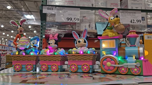 Disney Spring Train