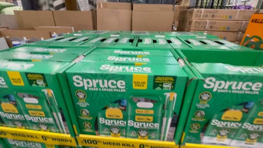 P&G Spruce Snap & Spray Weed & Grass Killer