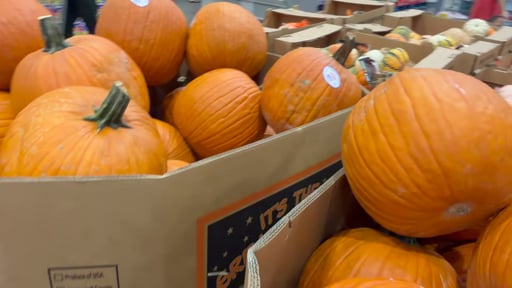 Jumbo Pumpkins Each