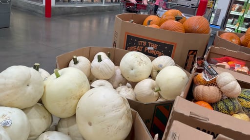 White Pumpkin, Each