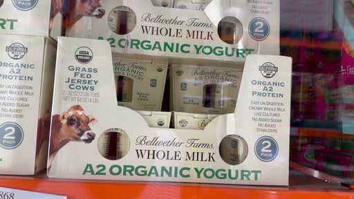Bellwether Organic A2 Whole Milk Yogurt 2/32 oz