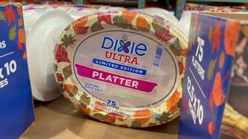 Dixie Ultra Platter 75 Count