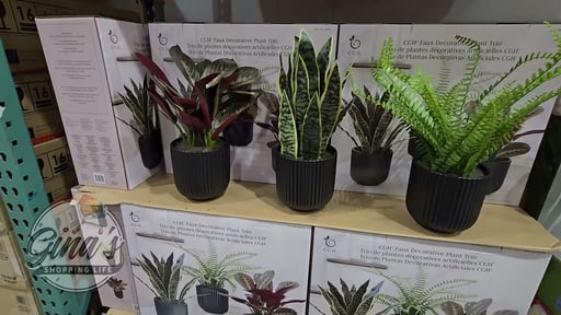 C.G. Hunter Faux Decorative Plant Trio