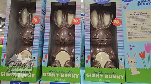 Maud Borup Giant Chocolate Bunny 160 Ounce Container